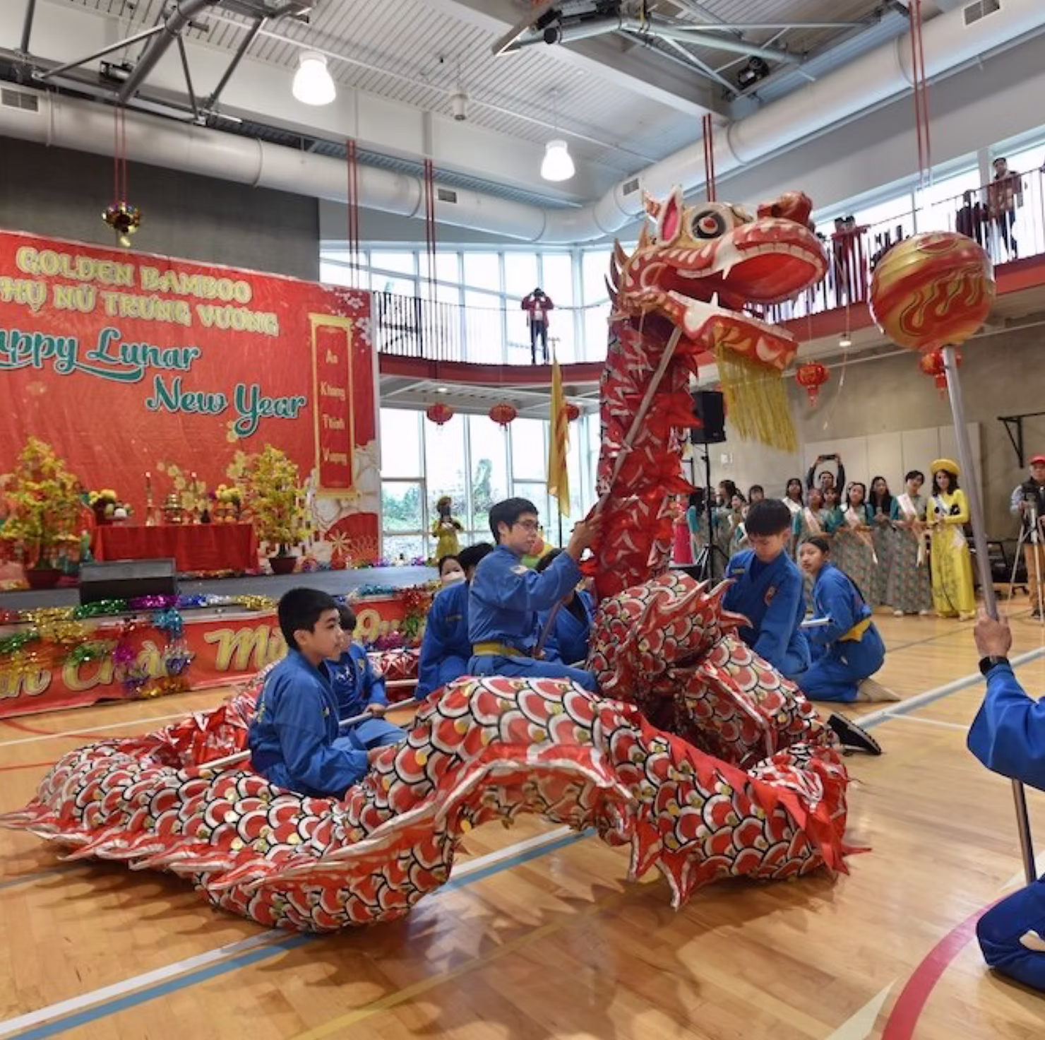 Traditional red dragon dance performance during a Vietnamese Tet Lunar New Year celebration inside a decorated community venue.